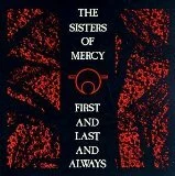 Текст музыкального трека Walk Away музыканта Sisters Of Mercy