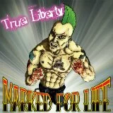 Текст клипа Mad At the World музыканта True Liberty